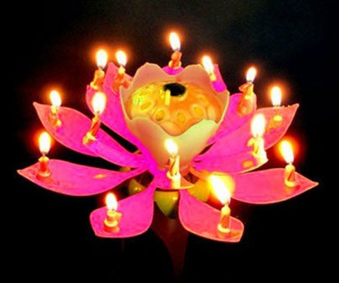 Lotus candles for cakes online shopping-the world largest lotus ...