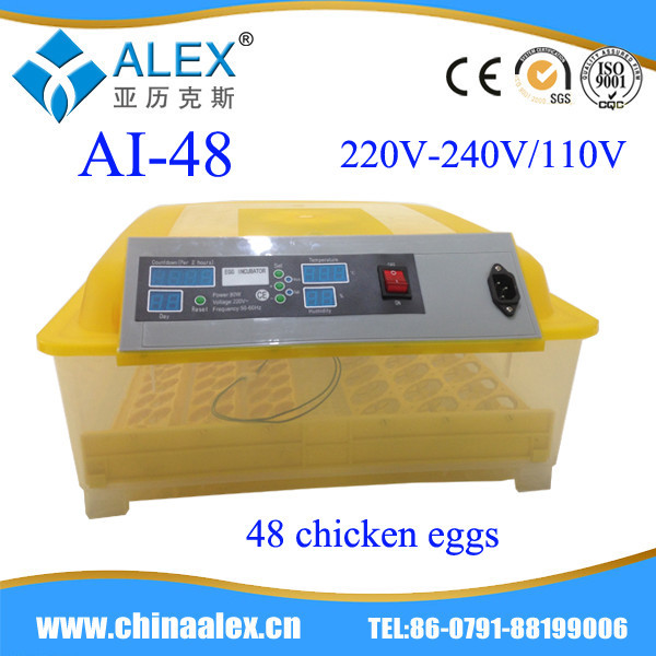 Incubator Temperature for Hatching Eggs
