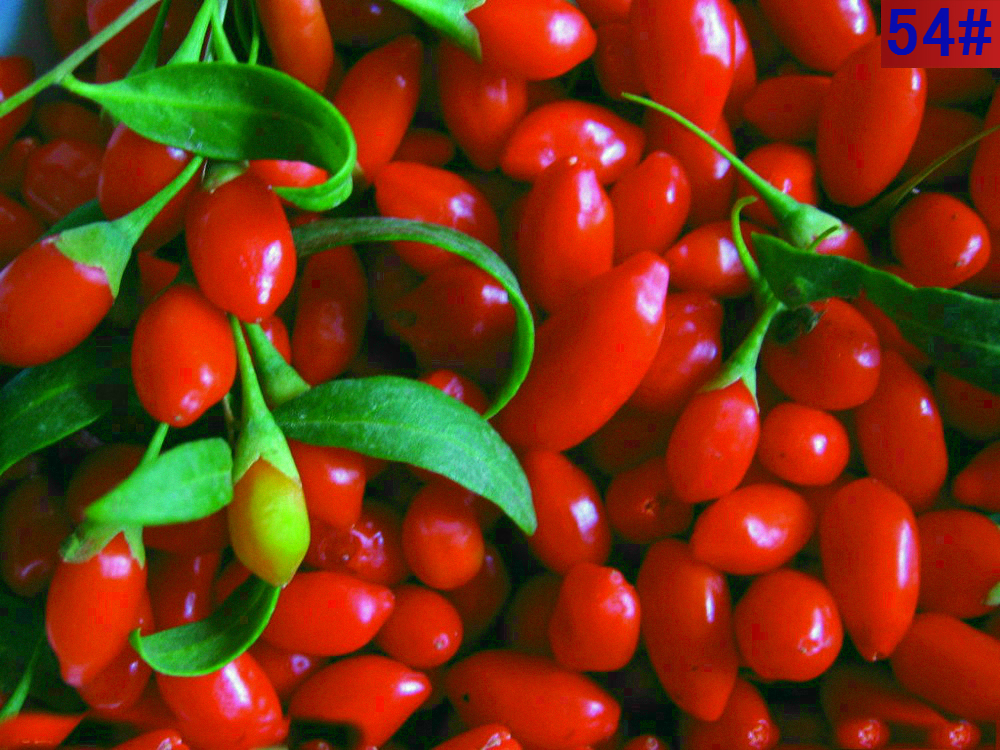 FREE SHIPPING Top Goji Berries Pure Bulk Bag Certified ORGANIC Green food wolfberry goji berries goji