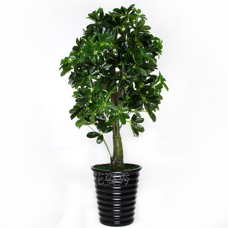 Decoratie Planten Woonkamer Groothandel zijde planten bomen kopen Hdm Panelen Badkamer ~ Decoratie Planten Woonkamer Groothandel zijde planten bomen kopen