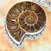 Free Shipping 2014 New Arrival Silver Exotic Handmade Vintage Jewelry Ammonite Fossil Pendants For weddings events