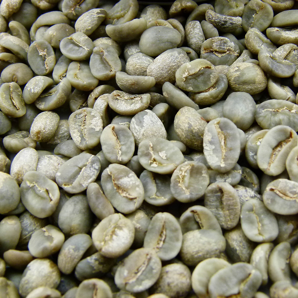Coffee arabica catimor coffee beans high altitudes grade AA coffee beans
