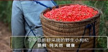 EMS Free shipping goji berries, Chinese Zhongning, Ningxia, Herbal Tea wild and medlar, 500g / 2 bag