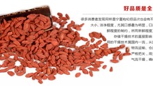 pure goji goji berry suppliers goji berries shipping Chinese Zhongning Ningxia Herbal Tea wild and medlar