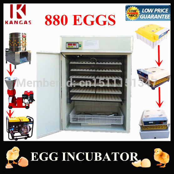 Best-price-quail-egg-incubators-for-sale-quail-incubator-egg-hatchers 