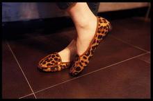 2014 women flats shoes Leopard shoes Genuine leather women flats candy color autumn solid color women