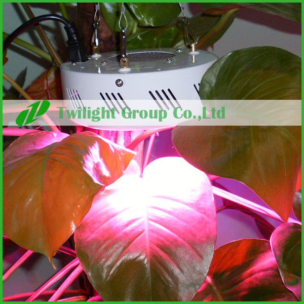 drop shipping aquaponics 50w mini ufo led growing light lamp made in 