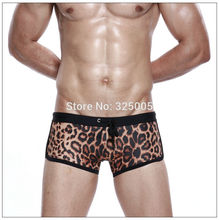 2014 Newest sexy men s leopard swim trunks mens leopard print bikini swimwear male low rise