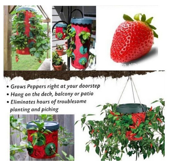 Topsy turvy tomato bags