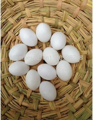 12 Pigeon Fake Eggs for Hatch, Chicken Duck Small Geese Incubation 