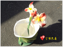 3PCS Canna porcelain Coffee Set Cup Saucer Spoon free shiping