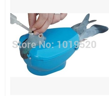 New-bird-pigeon-drug-fixed-frame-occupation-racing-pigeon-tool-dove-squab-medicine-feeder-supplies.jpg_350x350.jpg