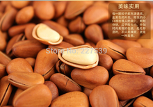 Dried fruit nut nuts snacks pine nut moisturize the skin healthy snacks food 100g free shipping