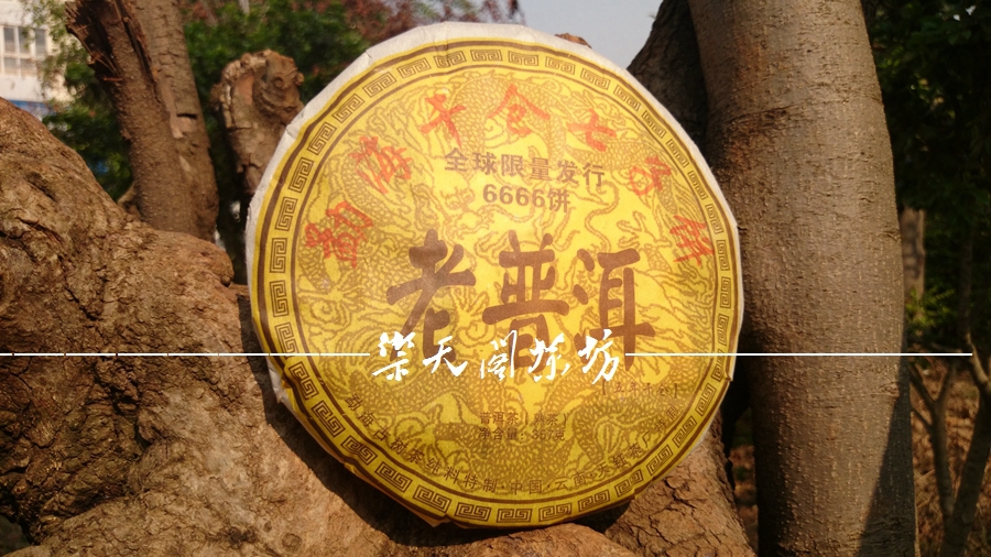 Promotion 5 years old 357g Chinese yunnan Puerh tea puer tea pu er the China naturally
