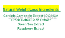 Natural Weight Loss Ingredients HCA + Green Coffee Bean Extract  Green Tea Extract Raspberry Extract 500mg x 300caps