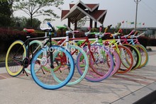 Free shipping 26 inch  fashion  bicycle, bike disc brakes mag alloy sport wheel bike