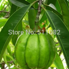 Purely Inspired Garcinia Cambogia with Green Coffee Bean (60 caps ) + 60% FREE
