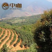 In Yunnan arabica coffee beans depth high altitude baking Italian flavor 50 g