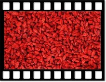 wolf berry red Chinese berry dried china supplements berry
