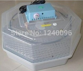 60 Egg Incubator Chicken Incubator Poultry Incubator Egg Hatcher