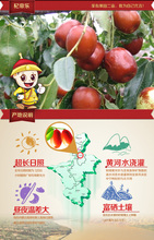 2014 HOT SALE red jujube for stronger sex xinjiang organic dried fruit big red dry dates