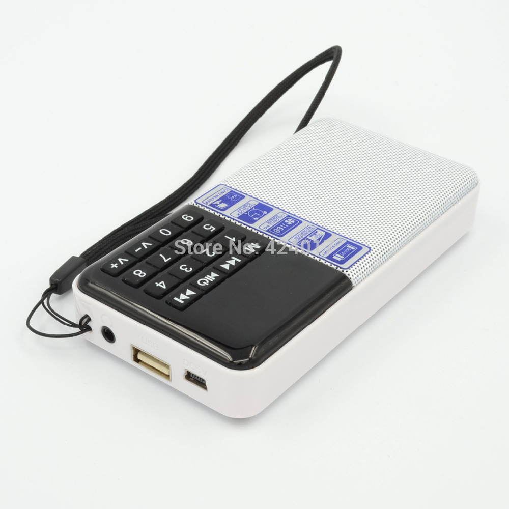 Hot Portable Mini Speaker Amplifier FM Radio USB Micro SD TF Slot MP3 Player PC