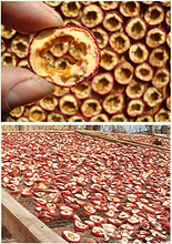 Hawthorn Berry Dried Hawthorn Fruit Herb Tea Dried Sliced Hawthorn 100grams