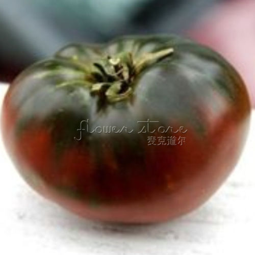 100 Organic Black Sea Man Tomato Seeds dark color rich in VC healthy