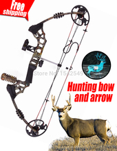 Light camo Hunting bow&arrow set,Dream M120 with excellent design hunting compound bow and arrow set archery set compound bow