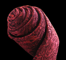 Brand 100 Silk Cravate Ties Gravatas For Men Gentlemen Wedding Dresses Party Red Mens Neckties Corbatas