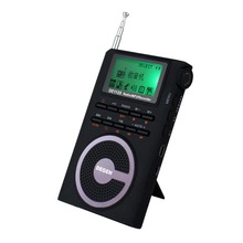 Hot Sale DEGEN FM Stereo Radio DE-1125 MW SW DSP ATS Built-in 4GB MP3 RadioY4220A Eshow