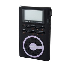 Hot Sale DEGEN DE 1125 FM Stereo Radio MW SW DSP ATS Built in 4GB MP3