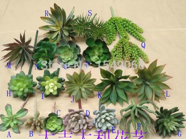 Decoratie Planten Woonkamer Kopen wholesale decor cactus uit china Hdm Panelen Badkamer ~ Decoratie Planten Woonkamer Kopen wholesale decor cactus uit china