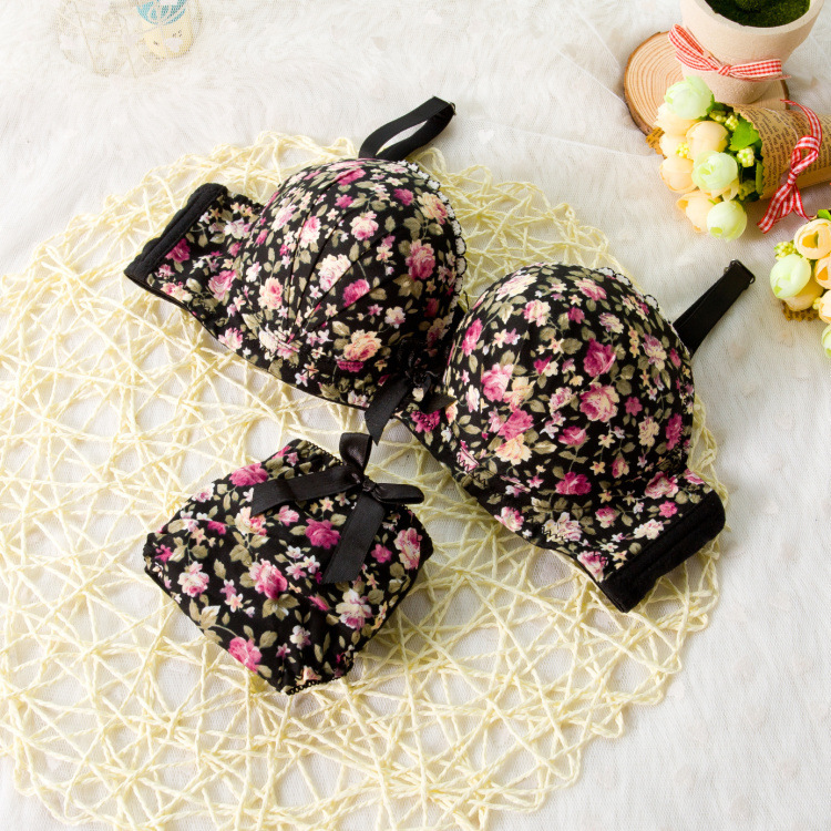 Seamless Underwear Brassiere Modal Comfortable Bra Set Print Floral Bra Brief Sets Sexy Bra And Panty