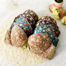Seamless Underwear Brassiere Modal Comfortable Bra Set Print Floral Bra Brief Sets Sexy Bra And Panty