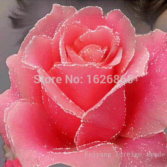 Feiyang foreign trade 2015 Diy5d 20 x 20 20X20