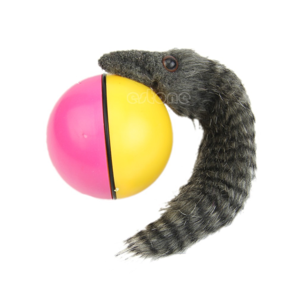 beaver ball dog toy