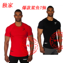 TDX Free shipping high elastic model body building exercise tight muscle strength training in the summer male round neck T-shirt