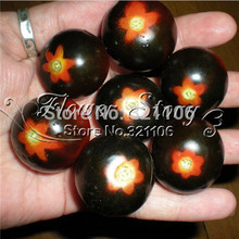 25 RED BUMBLE BEE TOMATO SEEDS! VERY RARE!Good tasty!Vegetable Seed