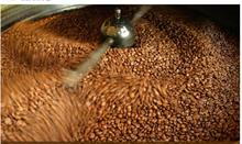 Coffee Beans New 2015 Food coffee gusto Medellin Sumatra coffee beans baked 454 g Free shipping