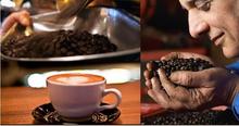 Coffee Beans New 2015 Food coffee gusto Medellin Sumatra coffee beans baked 454 g Free shipping