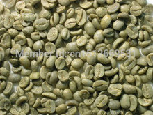 Arabica Green Coffee Bean 1kg