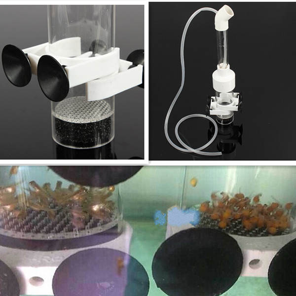 1PCS/LOT Wholesale Cichlids Tumbler Incubator Aquarium Fish Hatchery 