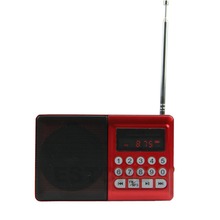 Mini Radio Portable Audio Woofer Speaker Music Player Receiver LCD Screen FM