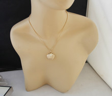 The new exquisite shell necklace can open creative jewelry factory direct YP0450