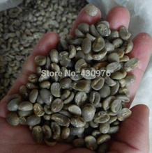 YItianmanor 2015 ZHAIZAI 13 16 1lb bag catimu yunnan new crops chinese coffee green bean smooth