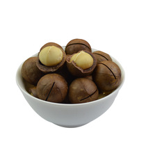 250g Macadamia Nuts Hickory Nut Bulk Nut amp Kernel Walnut Nut Macadamia Chinese food free shipping
