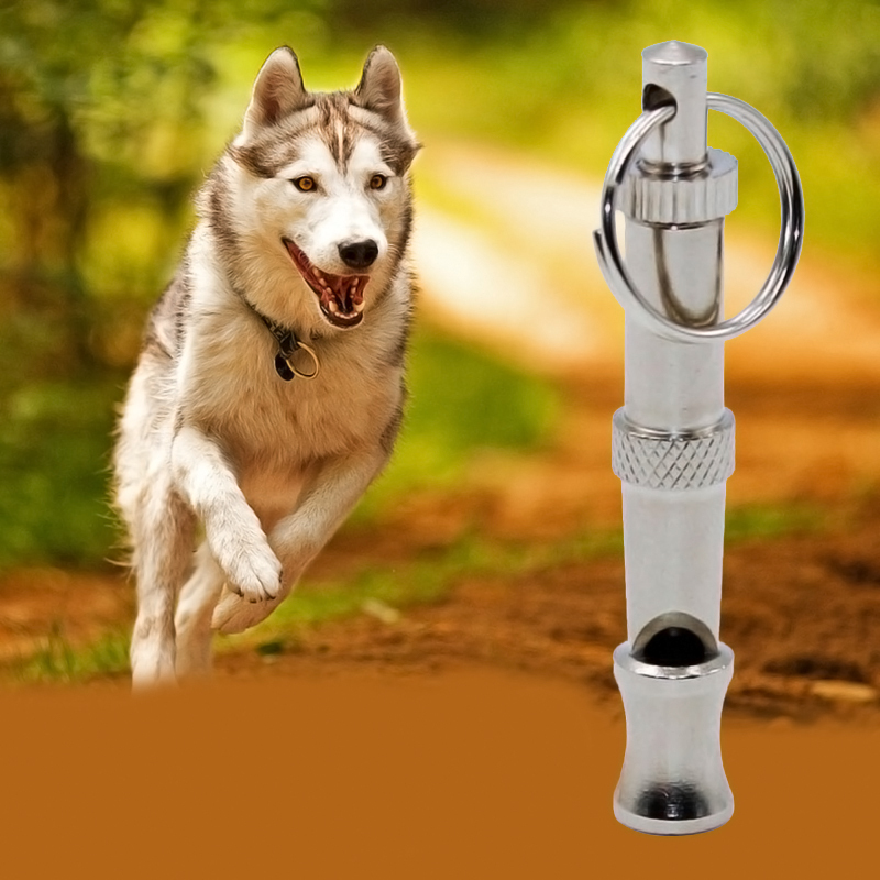 1 set High Quality Metal Dog Puppy Whistle Ultrasonic Adjustable Sound Key Training Free shipping ZH346