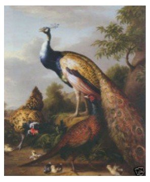 pinturas a óleo de Repro da arte dos artesanatos: “O pavão bonito” garantiu o transporte livre de 100%