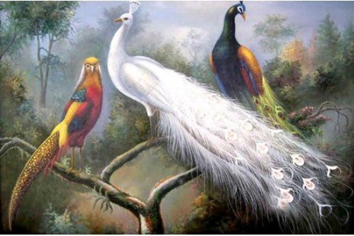 A pintura a óleo ANIMAL 24 " X36 " do PÁSSARO dos animais selvagens do pavão garantiu o transporte livre de 100%